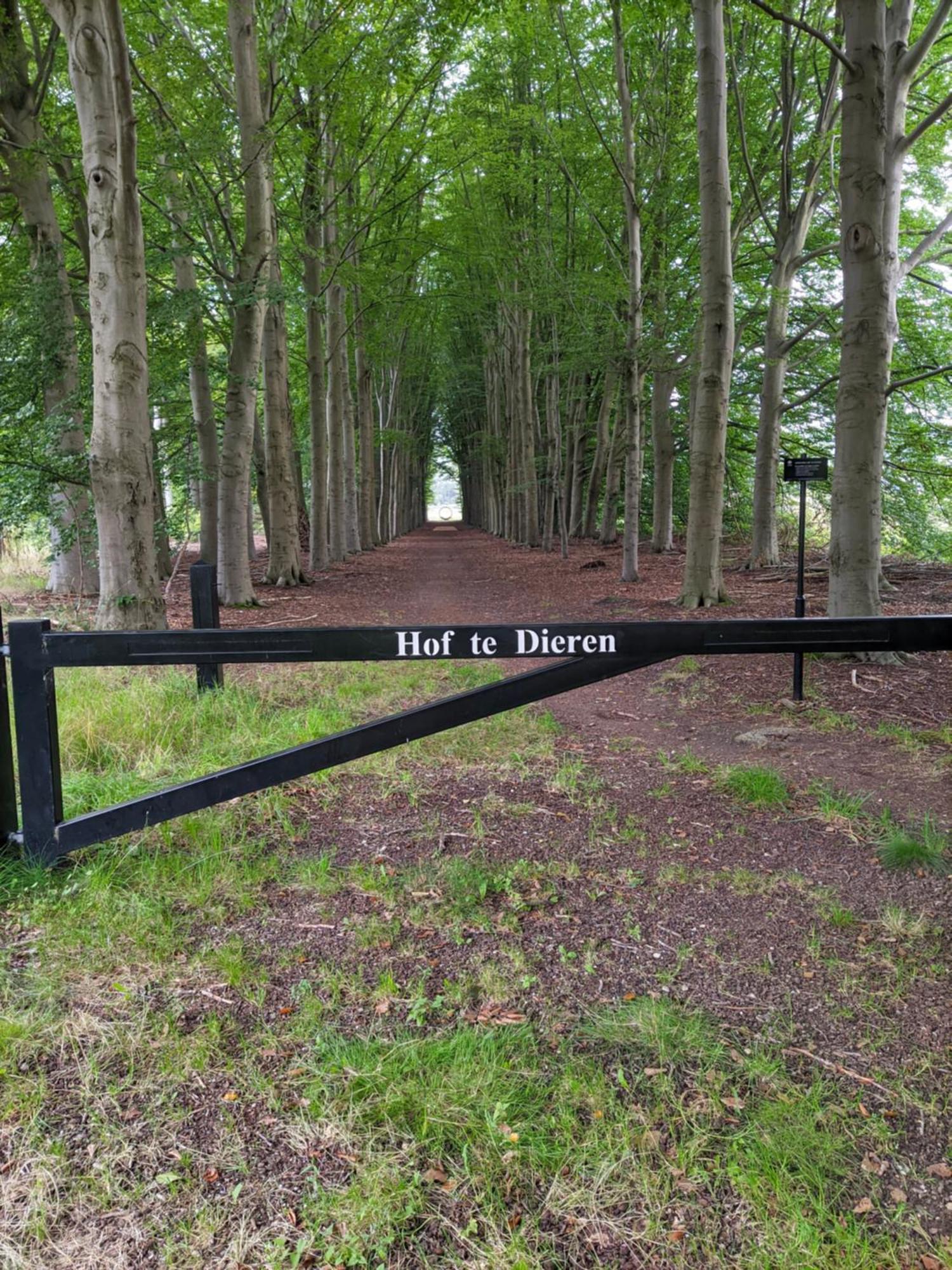 Villa Benvenuto Dieren Eksteriør billede